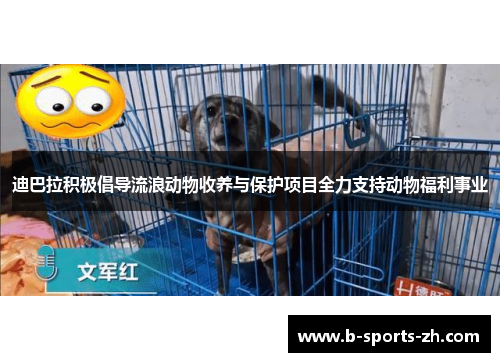 迪巴拉积极倡导流浪动物收养与保护项目全力支持动物福利事业