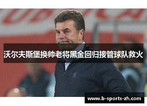 沃尔夫斯堡换帅老将黑金回归接管球队救火