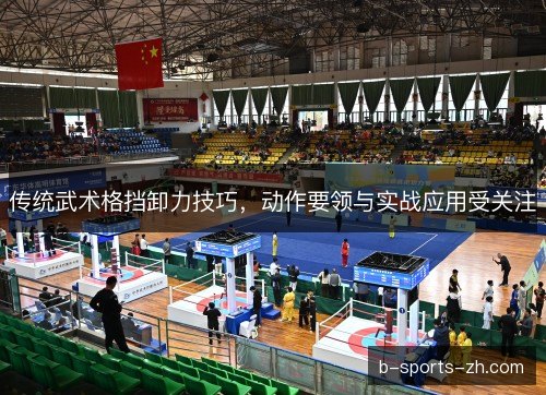 传统武术格挡卸力技巧，动作要领与实战应用受关注